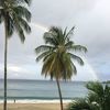 jason_tate_77